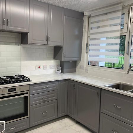 Luxury 3 Bedroom Flat With Garden Londen Buitenkant foto